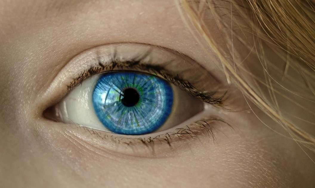 瞳孔の周りの青い部分が虹彩です