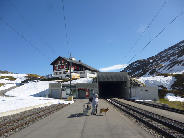 駅のホームで電車を待っている飼い主とワンちゃん